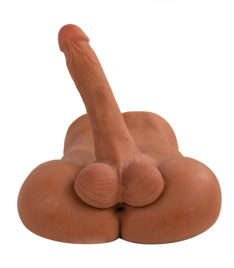 Camtoyz Realistic Torso Landon