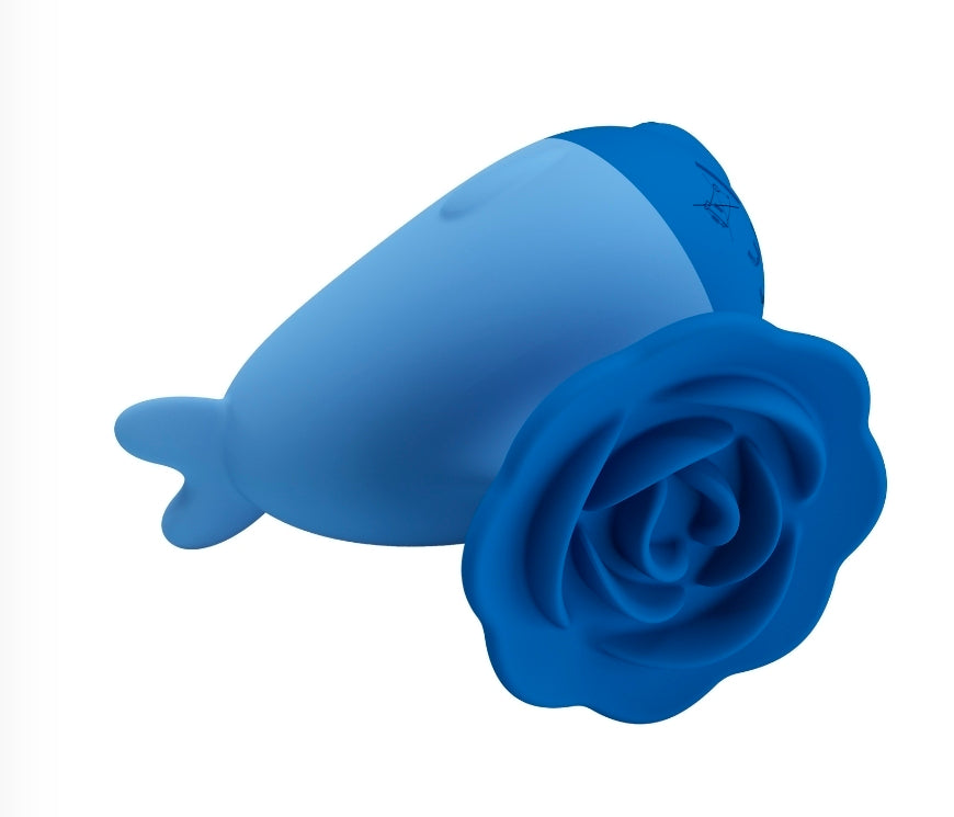 Pretty Love Dolphin Blue