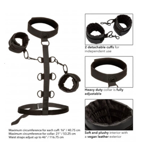 Boundless Collar Body Restraint