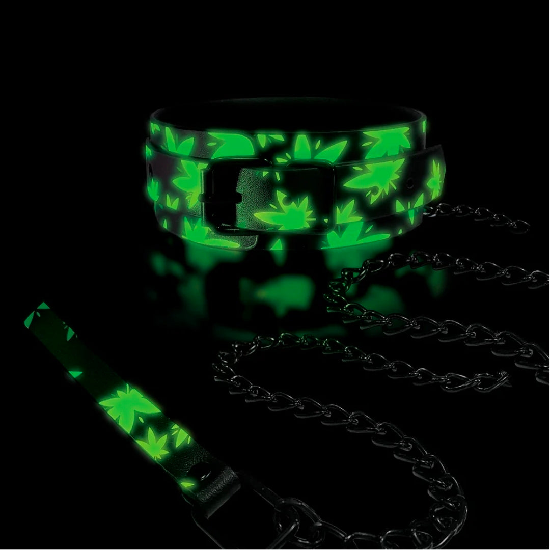 Stoner Vibes Chronic Collection Glow in the Dark Collar and Leash
