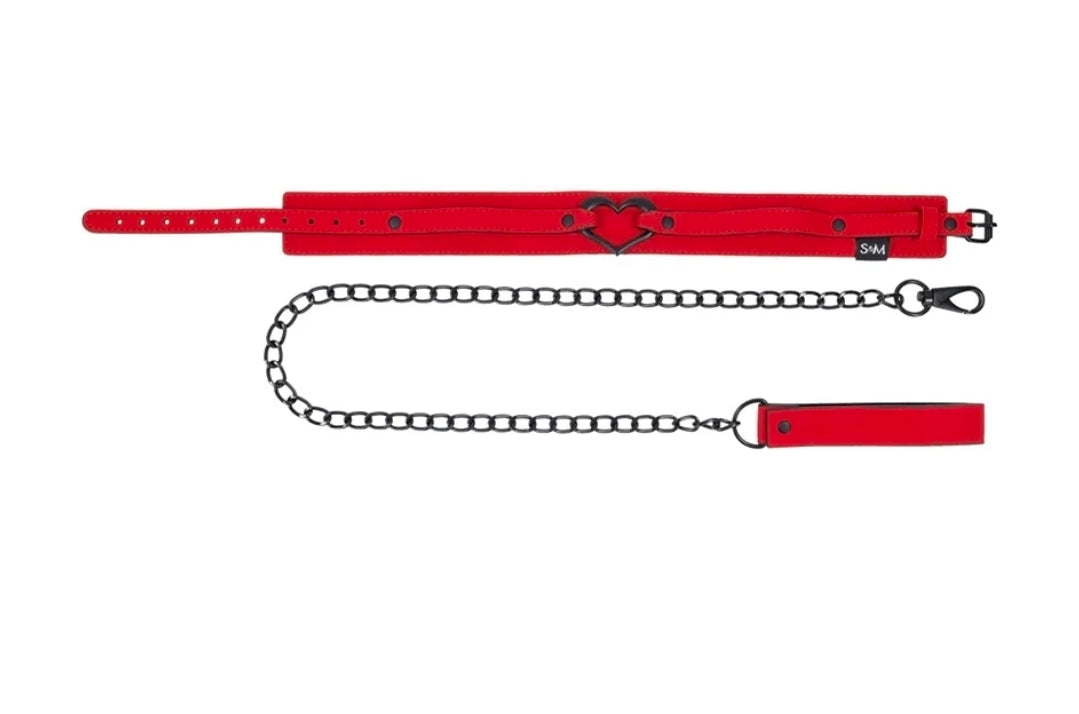 S&M Collar and Leash