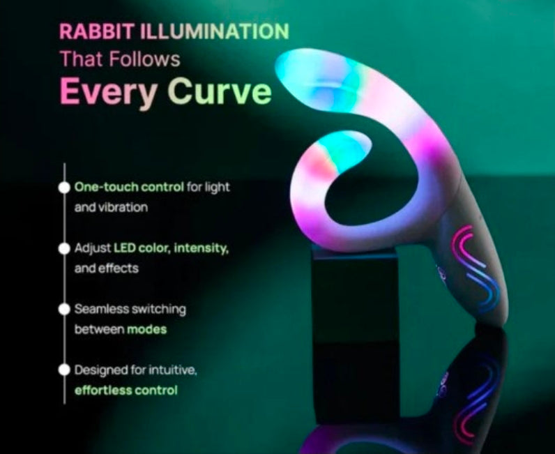 Paradise - Illumination the Rabbit