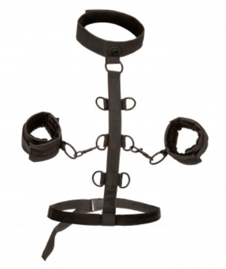 Boundless Collar Body Restraint