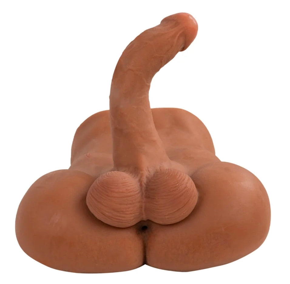 Camtoyz Realistic Torso Landon