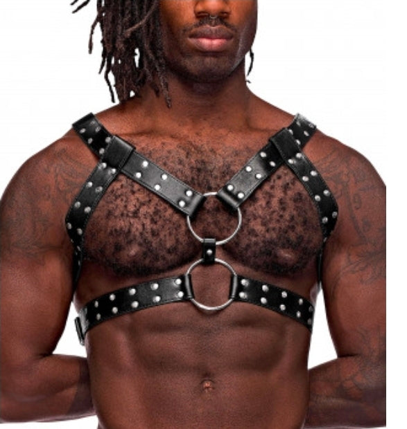 Gemini Leather Harness - One Size - Black