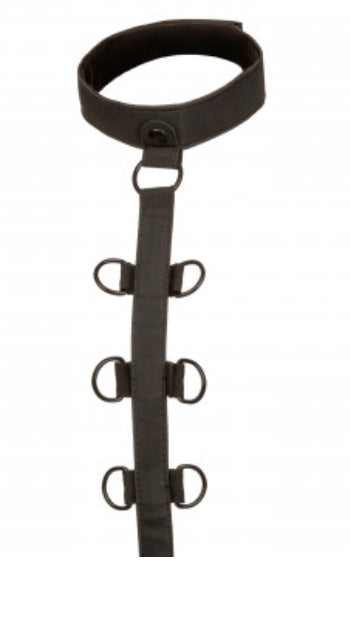 Boundless Collar Body Restraint